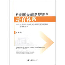 构建银行合格借款者项目源培育体系：政府引导中小企业突围间接融资困境的系统性框架
