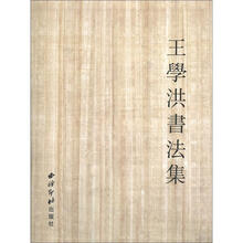 王学洪书法集