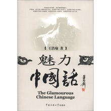 魅力中国话