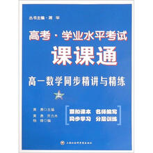高一数学同步精讲与精练(上)