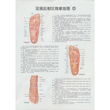 足部反射区推拿挂图