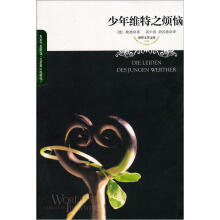 少年维特之烦恼