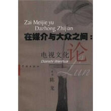 在媒介与大众之间：电视文化论
