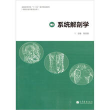 系统解剖学