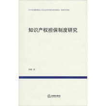 知识产权担保制度研究