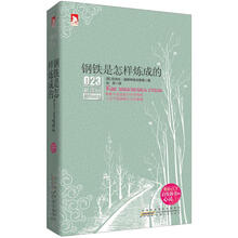 新课标最佳阅读：钢铁是怎样炼成的