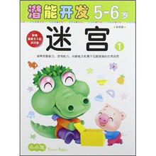 小小孩潜能开发丛书：迷宫1（5-6岁）（学前班）
