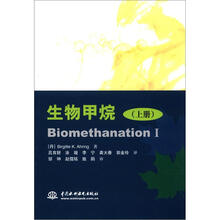 生物甲烷(上册)