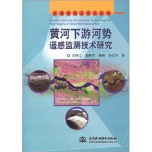 水科学前沿学术丛书：黄河下游河势遥感监测技术研究