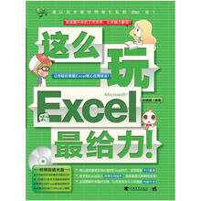 这么玩Excel最给力(附CD1张)