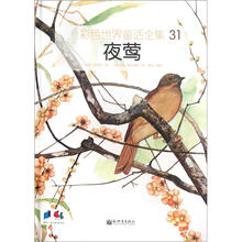 彩色世界童话全集31：夜莺