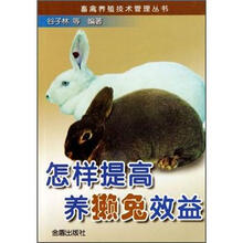 怎样提高养獭兔效益