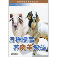 怎样提高养肉羊效益