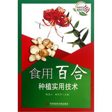 食用百合种植实用技术