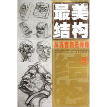 最美结构:从五官到石膏像