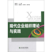 现代企业组织理论与实践