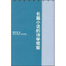 长篇小说的诗学观察