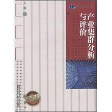 产业集群分析与评价