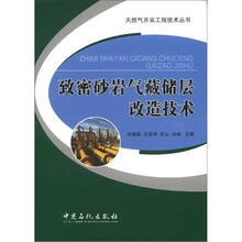 致密砂岩气藏储层改造技术