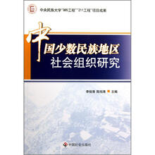 中国少数民族地区社会组织研究