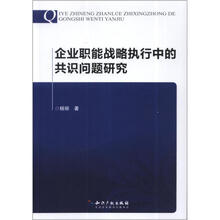 企业职能战略执行中的共识问题研究