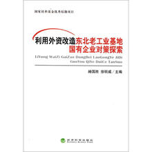 利用外资改造东北老工业基地国有企业对策探索