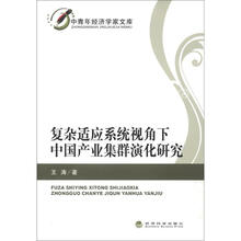 复杂适应系统视角下中国产业集群演化研究