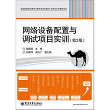 网络设备配置与调试项目实训（第2版）