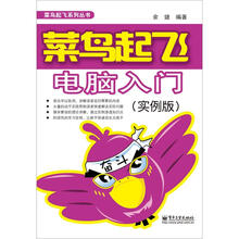 菜鸟起飞电脑入门（实例版）（双色）