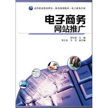 电子商务网站推广