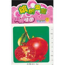 乖乖豆身高挂图：缤纷果蔬