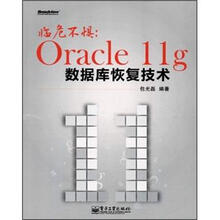 临危不惧：Oracle11g数据库恢复技术