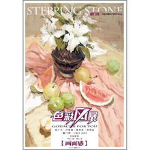 敲门砖色彩风暴系列美术丛书:色彩静物·画面感