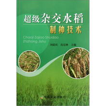 超级杂交水稻制种技术
