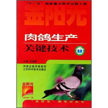 肉鸽生产关键技术