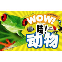 小小发现者看世界：哇！动物