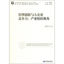 中国管理创新前沿系列（第1辑）·管理创新与大企业竞争力：产业组织视角