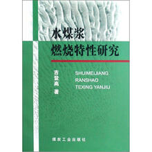 水煤浆燃烧特性研究