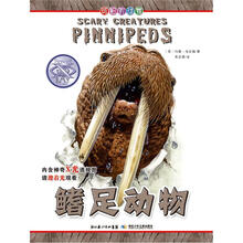 可怕的动物：鳍足动物
