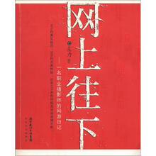 网上往下：一名职业摄影师的网游日记