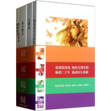 海岩小说精选收藏(套装共4册)