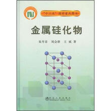 “十二五”国家重点图书：金属硅化物