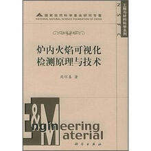 工程与材料科学系列：炉内火焰可视化检测原理与技术