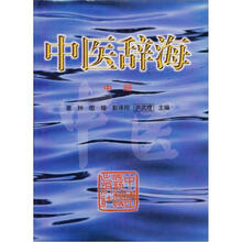 中医辞海（中册）