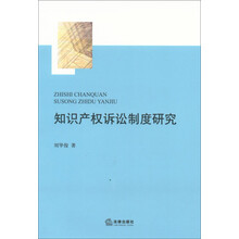 知识产权诉讼制度研究