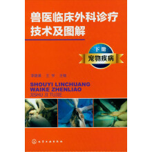 兽医临床外科诊疗技术及图解（下册）：宠物疾病