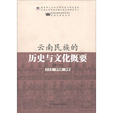 西南边疆民族研究书系·民族史研究丛书：云南民族的历史与文化概要（修订本）