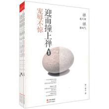 迎面撞上禅(套装全4册)