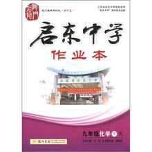 龙门名师系列（初中篇）·启东中学作业本：9年级化学（下）（R）
