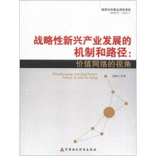 战略性新兴产业发展的机制和路径：价值网络的视角